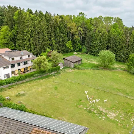Raab Apartament Zandt